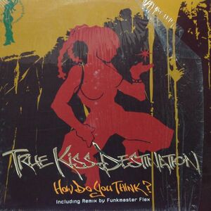 12inchレコード　TRUE KISS DESTINATION / HOW DO YOU THINK?