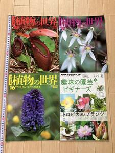 食虫植物　　関連本　　ウツボカズラ　　ハエトリソウ　　フクロユキノシタ　　趣味の園芸 古本