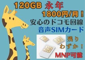 格安SIM 120GB 1800円/月 音声SIM 安心のdocomo回線 MNP可能 期間限定 キャンペーン中のみお申込み可能 格安シム SIMカード SIMフリー