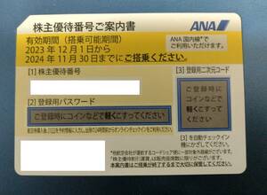全日空ANA株主優待券1枚 有効期限2024年11月30日