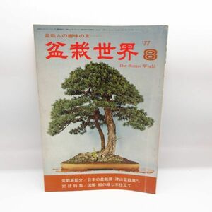 盆栽世界 1977年8月号 昭和52年 図解 柳の挿し木仕立て 樹石社 盆栽 園芸 レトロ 本/D1