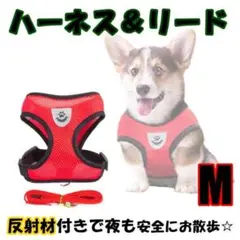 大人気 ハーネス リード わんちゃん メッシュ 可愛い 犬 猫 フィット M