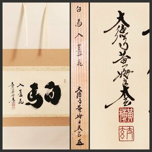 【古美味】小林太玄 自筆横物「白馬入蘆花」軸装 茶道具 保証品 I7Dr