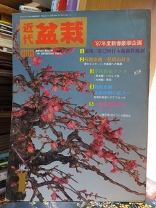 近代盆栽　　　　　　１９８７年１月号　　　　　　　　　近代出版