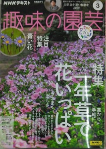 完全新品　NHKテキスト趣味の園芸 2024年 03 月号