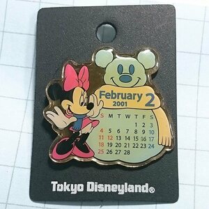 送料無料）TDL 東京ディズニーランド ミニーマウス カレンダー ディズニー ピンバッジ A02392