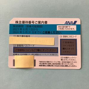 ★通知・郵送とも可★ANA株主優待券１枚　2024年5月31日搭乗迄