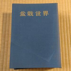 古雑誌 盆栽世界 昭和55年1月～12月 樹石社 昭和レトロ 古本 古書 【3197】