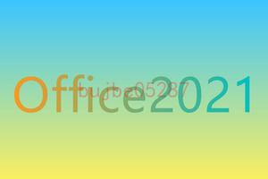 Microsoft Office 2021 Professional Plus 正規 プロダクトキー 32/64bit対応 Access Word Excel PowerPoint 認証保証 日本語 永続版