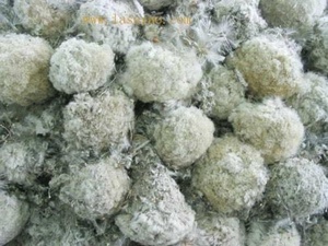 健康茶！チベットの恵み 野生「雪蓮花茶／藏雪蓮」50ｇ　お試し価額　50ｇ/袋　