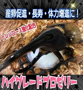 極上　ハイグレードプロゼリー【100個セット】トレハロース強化配合！　産卵促進・長寿・体力増進に抜群！オスも食べやすいワイドカップ　