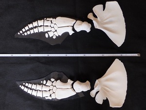 K0061-20H★バンドウイルカ　前肢（胸鰭）骨格標本★【骨　骨格　科学 自由研究 生物 標本 インテリア 】