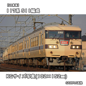 ◎KG写真【JR東海】117系電車 S11編成 ■復刻国鉄色 ■新快速 □撮影:東海道本線 2011/3/31［KG0600］