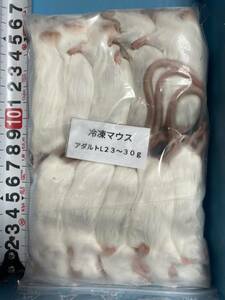 冷凍マウスアダルトL 23～30g(150匹)