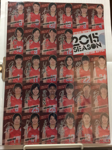 全日本 バレーボール クリアファイル 2015