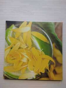 RRE1220_花 花びら アートパネル 57cm × 57cm Lサイズ 日本製 ポスター 模様替え リビング 内装 植物 レモン 自然