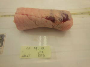 福岡県産天然猪肉　令和６年　3月　オス　（２８０－６）　バラ　５１０ｇ
