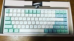 ☆3モード接続ホットスワップメカニカルキーボード　ミントグリーン