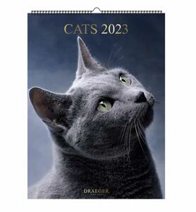 2023カレンダー猫 ポスター BB469 ドレジャー 壁掛け 動物ネコ 可愛い 額装