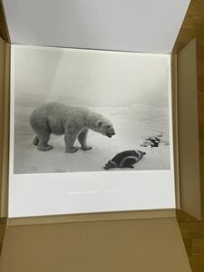 杉本博司 ポスター「POLAR BEAR」(ポーラー ベア) 新品 シロクマ 限定HIROSHI SUGIMOTO