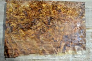 長33*幅23-24*厚1.5　杉6の木材木工材,一枚板送料安DIY花台銘木　杢　プレート　瘤