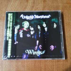 完売品 新品未開封 unlucky Morpheus「Wings ウィングス」Fuki アンラッキー モルフェウス LIGHT BRINGER ライトブリンカー
