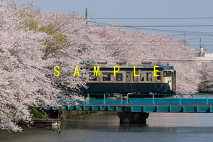 ☆00～10年代鉄道8jpgCD[113系幕張車スカ色(成田線大戸～佐原～香取)]☆