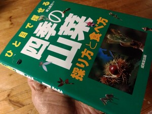 ⑥山菜/山野草の本【ひと目で探せる四季の山菜/採り方と食べ方】223頁、成美堂出版、探し方/写真/下処理/風味等、送料230円、＃朝来佐嚢＃