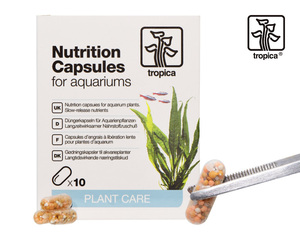 【 トロピカ 水草 用 固形肥料 】 tropica Nutrition Capsules for aquarium 10capsules １箱