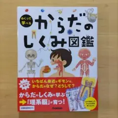 めくって学べる からだのしくみ図鑑