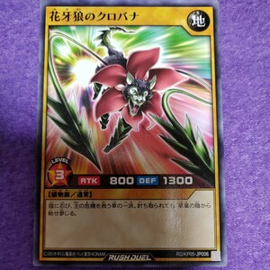 遊戯王 ラッシュデュエル 花牙狼のクロバナ ノーマル RD/KP05-JP006