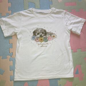 【即決】グローバルワーク女の子用半袖Tシャツ140cm トップス 犬&花柄 ①