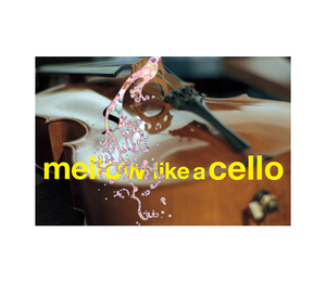 新品kaikaikiki村上隆 fragment藤原ヒロシHi&Lo300枚限定 サイン入ポスター 【Cello + Cellular Shower】カイカイキキ フラグメント