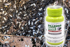 送料無料　　Pillbugs food ダンゴムシ・ワラジムシ専用飼料　１本