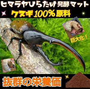 超増量！300リットル！コンプリートマット！ヒマラヤひらたけ菌床発酵カブトムシマット！栄養価抜群！産卵マットに使うと大量に産みます！