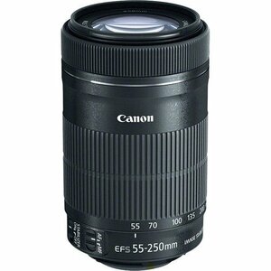 Canon EF-S 55-250mm F4-5.6 は STMレンズ、Canon SLRカメラ用 [国際バージ(中古品)