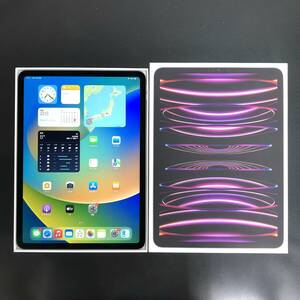 【中古極美品】SIMフリー iPad Pro 11インチ（第4世代） Cellular 1TB スペースグレイ MNYJ3J/A docomo版 SIMロック解除済 新品同様