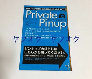 月刊コミックゼロサム プライベートピンナップ　最遊記　カーニヴァル あまつき　魔界王子