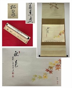 【千寿】大徳寺派 瑞龍山 雲澤寺 足立泰道 秋色 紅葉画賛 紙本 dd387◆箱/茶道具/古美術/時代品/掛軸/100019489