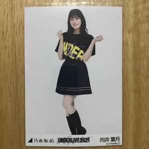 乃木坂46 向井葉月 アンダーライブ2021 生写真 ヒキ 1枚 検) web 限定 ライブTシャツ