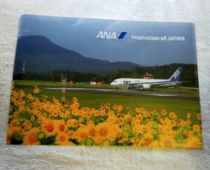 ◆ANA(全日空)◆ルーク・H・オザワ監修写真　2023年版　A4クリアファイル　02