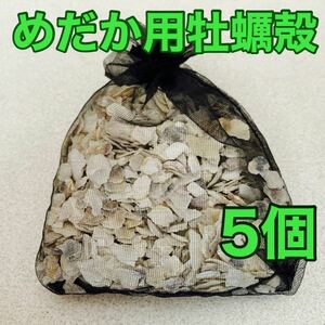 広島県産 牡蠣殻 4〜8mm 80g×5袋 アクアリウム 水質調整