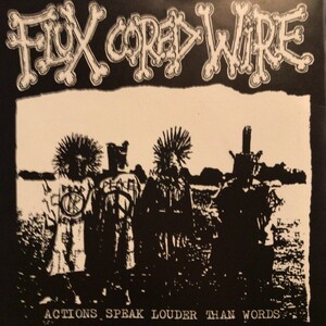 Flux Cored Wire - Actions Speak Louder Than Words 7inch 2000日本盤　7インチ　 MCR-153