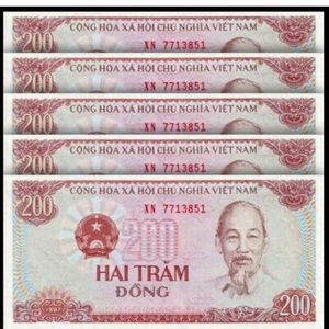 未使用 べトナム 1000ドン紙幣セット