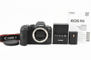 ★極上美品★ Canon キャノン EOS R6 フルサイズミラーレスカメラ 付属品 #2790