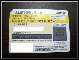 ◆送料無料◇番号通知します・ANA・全日空株主優待券×1枚　有効期限2024年11月30日