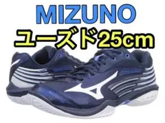 MIZUNO ミズノ バドミントン シューズ ウエーブクロー 2