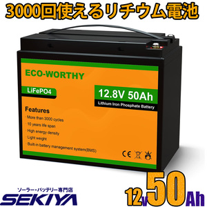 3000回使える 50AH リチウムイオンバッテリー 12V 640Wh バッテリー リン酸鉄 リチウム電池 lifepo4 ディープサイクル BMS保護 EcoWorthy