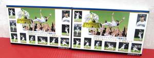 未使用 2006 パシフィックリーグ優勝記念 北海道日本ハムファイターズ 貨幣セット 額面666円×2点 平成18年 記念硬貨 造幣局