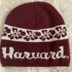 ハーバード大学　ニット帽 ニットキャップ Harvard 帽子　ボストン　海外旅行　土産　アメリカ　防寒　USA コレクション